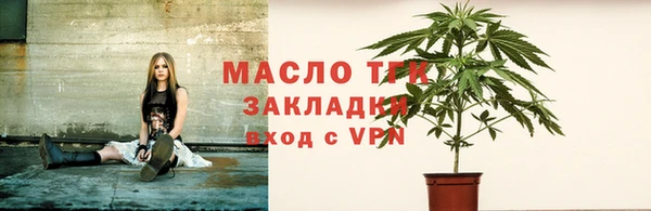 сатива Аркадак