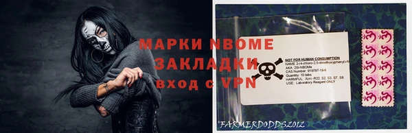 сатива Аркадак