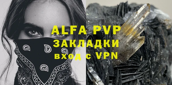 сатива Аркадак