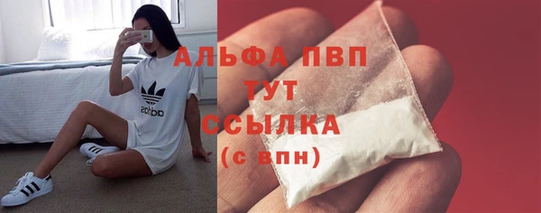 сатива Аркадак
