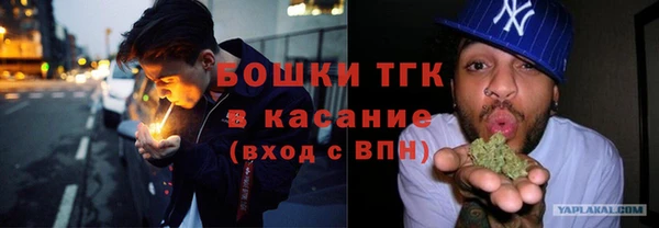 сатива Аркадак