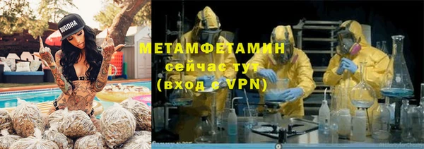 сатива Аркадак
