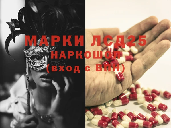 сатива Аркадак