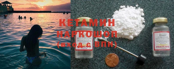 сатива Аркадак