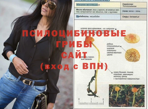 каннабис Арсеньев