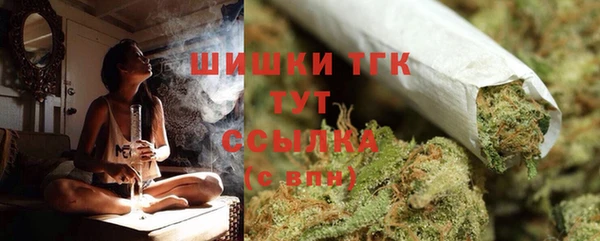 сатива Аркадак