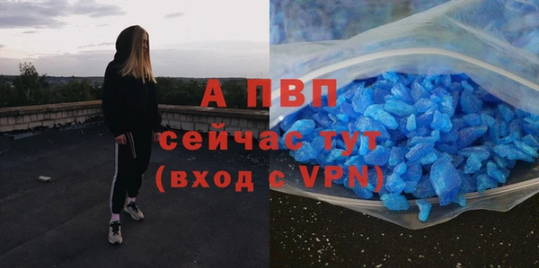 крисы Армянск