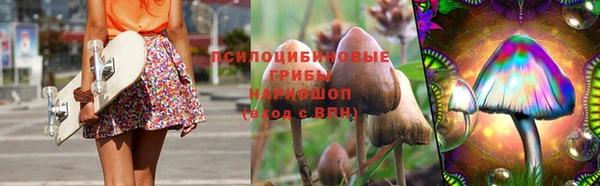 крисы Армянск